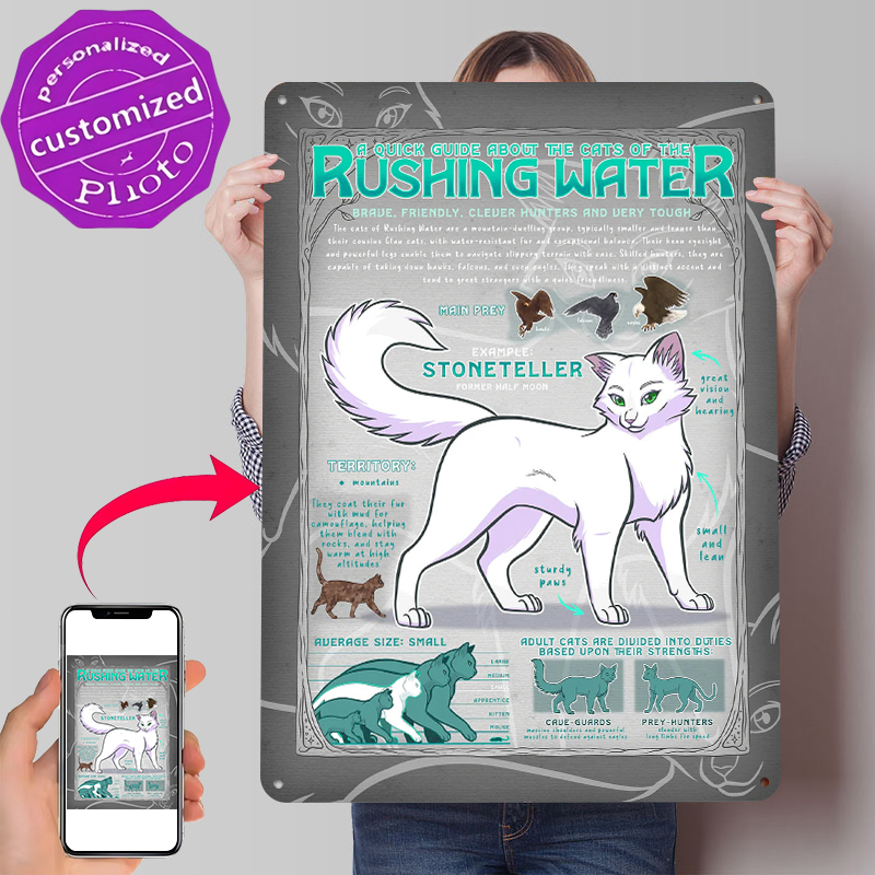 Retro Gaming Guide - Guide to Rushing Water Cats Tin